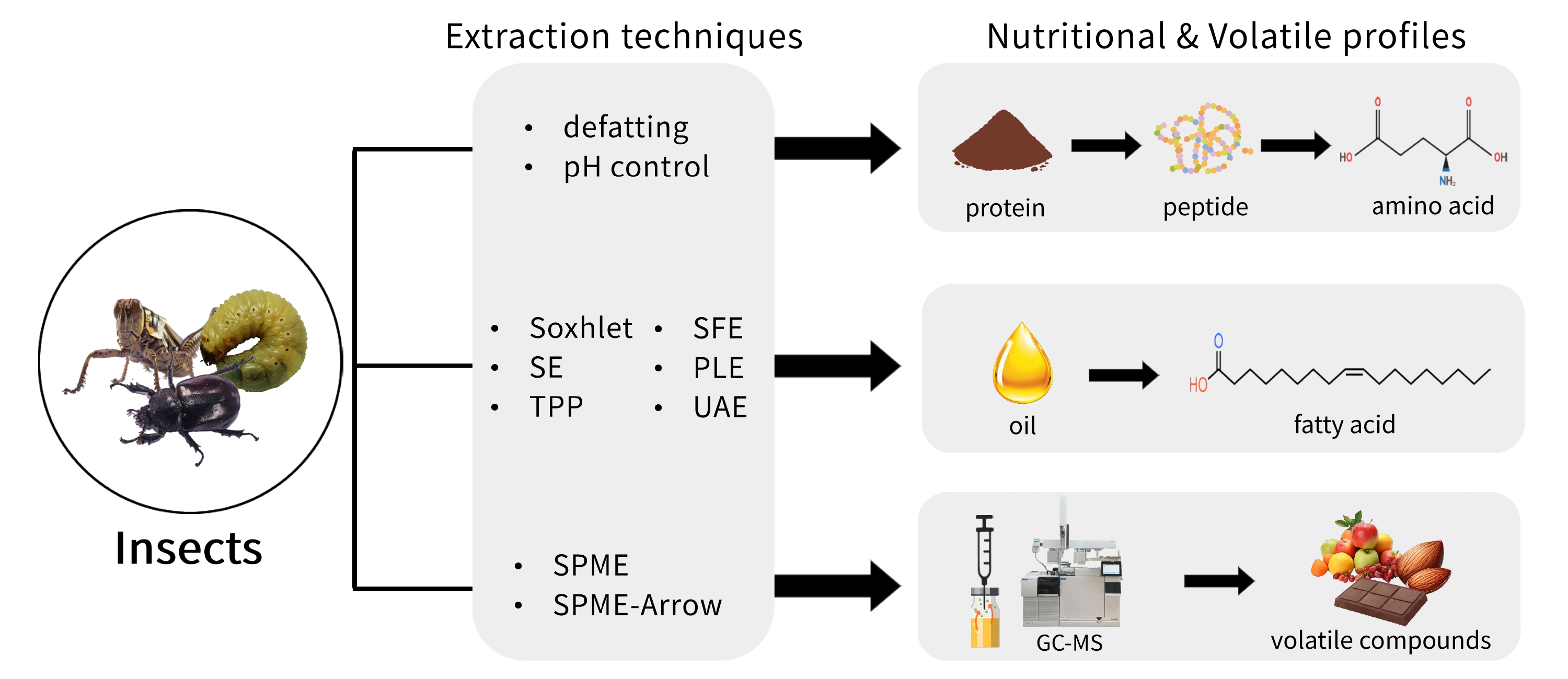 AST-2025-019_R1_P_Graphical Abstract_001_page-0001.jpg